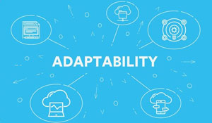 Adaptability